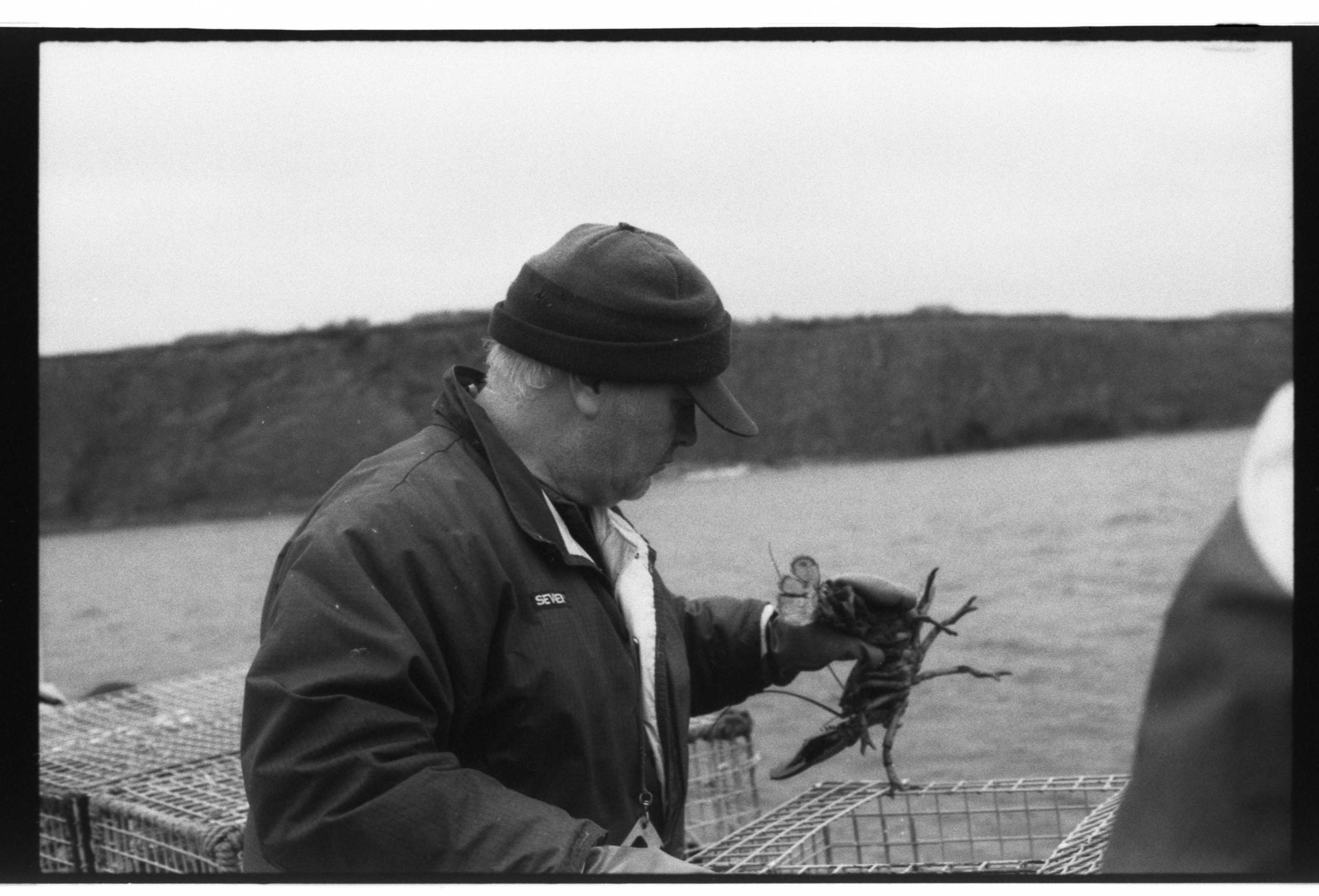 My Office Roof Lobster Gaspé Fishing